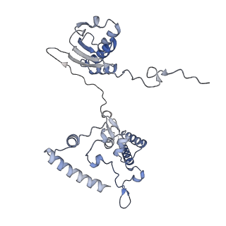 12529_7nql_AI_v1-1
55S mammalian mitochondrial ribosome with ICT1 and P site tRNAMet