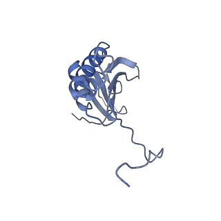 12529_7nql_AK_v1-1
55S mammalian mitochondrial ribosome with ICT1 and P site tRNAMet