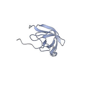 12529_7nql_AL_v1-1
55S mammalian mitochondrial ribosome with ICT1 and P site tRNAMet