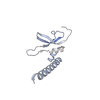 12529_7nql_AP_v1-1
55S mammalian mitochondrial ribosome with ICT1 and P site tRNAMet