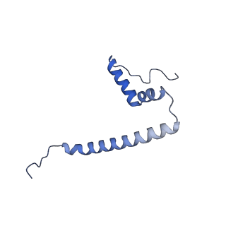 12529_7nql_AU_v1-1
55S mammalian mitochondrial ribosome with ICT1 and P site tRNAMet