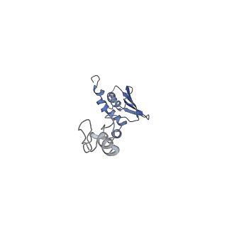 12529_7nql_Ac_v1-1
55S mammalian mitochondrial ribosome with ICT1 and P site tRNAMet