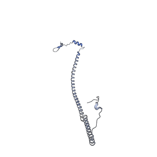 12529_7nql_Ad_v1-1
55S mammalian mitochondrial ribosome with ICT1 and P site tRNAMet