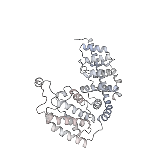 12529_7nql_Ae_v1-1
55S mammalian mitochondrial ribosome with ICT1 and P site tRNAMet