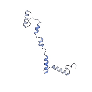12529_7nql_Ai_v1-1
55S mammalian mitochondrial ribosome with ICT1 and P site tRNAMet