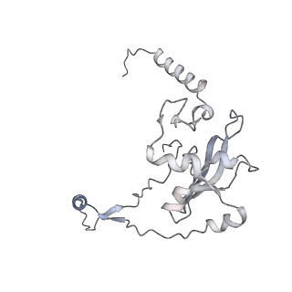 12529_7nql_Aj_v1-1
55S mammalian mitochondrial ribosome with ICT1 and P site tRNAMet