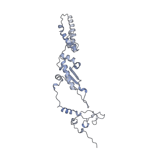 12529_7nql_Ak_v1-1
55S mammalian mitochondrial ribosome with ICT1 and P site tRNAMet