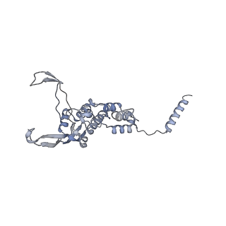 12529_7nql_B1_v1-1
55S mammalian mitochondrial ribosome with ICT1 and P site tRNAMet