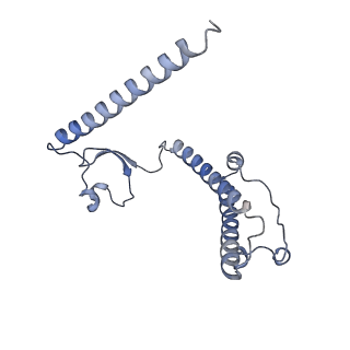 12529_7nql_B2_v1-1
55S mammalian mitochondrial ribosome with ICT1 and P site tRNAMet