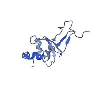 12529_7nql_B3_v1-1
55S mammalian mitochondrial ribosome with ICT1 and P site tRNAMet