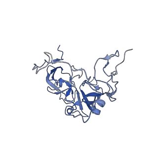 12529_7nql_BD_v1-1
55S mammalian mitochondrial ribosome with ICT1 and P site tRNAMet
