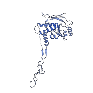 12529_7nql_BF_v1-1
55S mammalian mitochondrial ribosome with ICT1 and P site tRNAMet