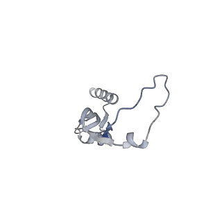 12529_7nql_BI_v1-1
55S mammalian mitochondrial ribosome with ICT1 and P site tRNAMet