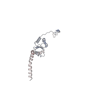 12529_7nql_BJ_v1-1
55S mammalian mitochondrial ribosome with ICT1 and P site tRNAMet