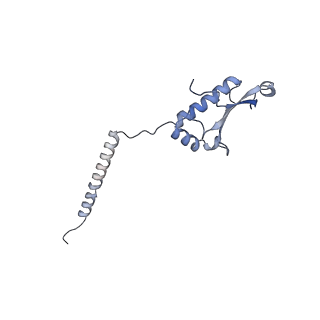 12529_7nql_BL_v1-1
55S mammalian mitochondrial ribosome with ICT1 and P site tRNAMet