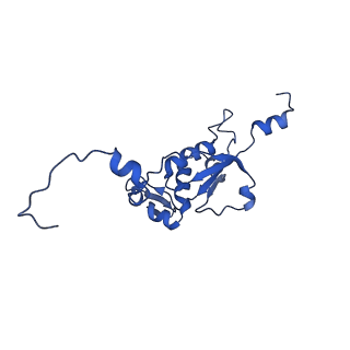 12529_7nql_BN_v1-1
55S mammalian mitochondrial ribosome with ICT1 and P site tRNAMet