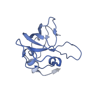 12529_7nql_BO_v1-1
55S mammalian mitochondrial ribosome with ICT1 and P site tRNAMet