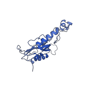 12529_7nql_BQ_v1-1
55S mammalian mitochondrial ribosome with ICT1 and P site tRNAMet