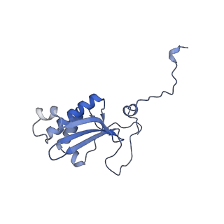 12529_7nql_BS_v1-1
55S mammalian mitochondrial ribosome with ICT1 and P site tRNAMet
