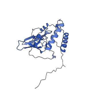 12529_7nql_BT_v1-1
55S mammalian mitochondrial ribosome with ICT1 and P site tRNAMet