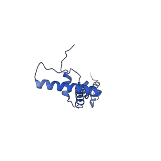 12529_7nql_BU_v1-1
55S mammalian mitochondrial ribosome with ICT1 and P site tRNAMet