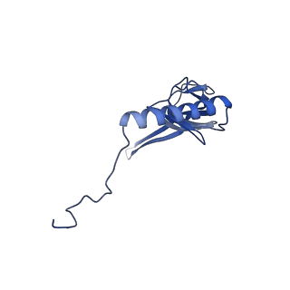 12529_7nql_BV_v1-1
55S mammalian mitochondrial ribosome with ICT1 and P site tRNAMet