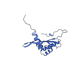 12529_7nql_BW_v1-1
55S mammalian mitochondrial ribosome with ICT1 and P site tRNAMet