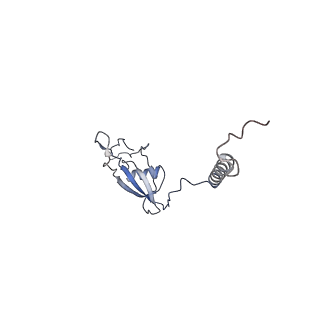 12529_7nql_BX_v1-1
55S mammalian mitochondrial ribosome with ICT1 and P site tRNAMet