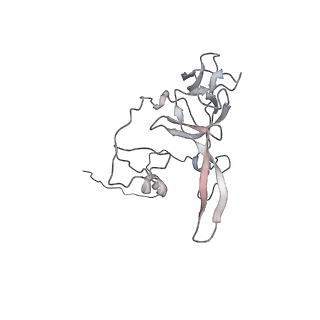 12529_7nql_BY_v1-1
55S mammalian mitochondrial ribosome with ICT1 and P site tRNAMet