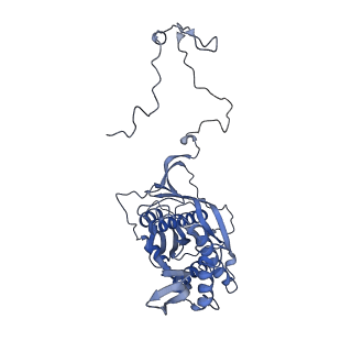 12529_7nql_Ba_v1-1
55S mammalian mitochondrial ribosome with ICT1 and P site tRNAMet