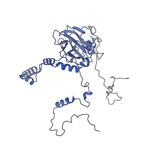 12529_7nql_Bb_v1-1
55S mammalian mitochondrial ribosome with ICT1 and P site tRNAMet