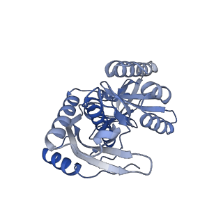 12529_7nql_Bc_v1-1
55S mammalian mitochondrial ribosome with ICT1 and P site tRNAMet