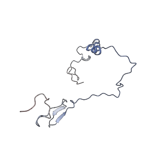 12529_7nql_Be_v1-1
55S mammalian mitochondrial ribosome with ICT1 and P site tRNAMet