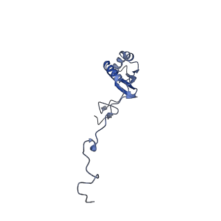 12529_7nql_Bg_v1-1
55S mammalian mitochondrial ribosome with ICT1 and P site tRNAMet