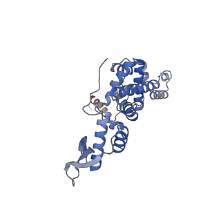12529_7nql_Bh_v1-1
55S mammalian mitochondrial ribosome with ICT1 and P site tRNAMet