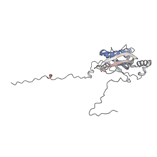 12529_7nql_Bi_v1-1
55S mammalian mitochondrial ribosome with ICT1 and P site tRNAMet