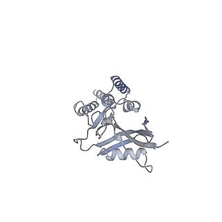 12529_7nql_Bj_v1-1
55S mammalian mitochondrial ribosome with ICT1 and P site tRNAMet