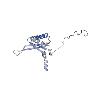 12529_7nql_Bk_v1-1
55S mammalian mitochondrial ribosome with ICT1 and P site tRNAMet