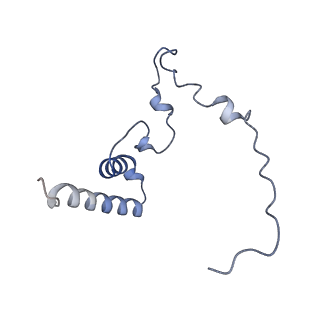 12529_7nql_Bn_v1-1
55S mammalian mitochondrial ribosome with ICT1 and P site tRNAMet