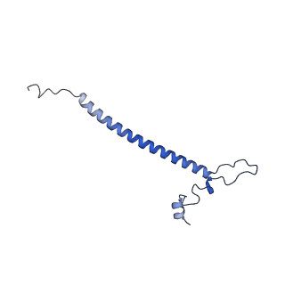 12529_7nql_Bo_v1-1
55S mammalian mitochondrial ribosome with ICT1 and P site tRNAMet