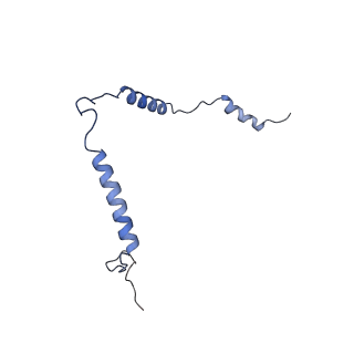 12529_7nql_Bt_v1-1
55S mammalian mitochondrial ribosome with ICT1 and P site tRNAMet