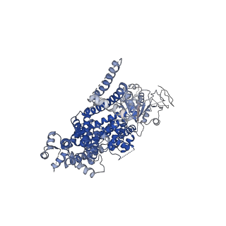 0487_6nr2_A_v1-2
Cryo-EM structure of the TRPM8 ion channel in complex with the menthol analog WS-12 and PI(4,5)P2