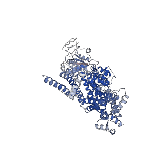 0487_6nr2_B_v1-2
Cryo-EM structure of the TRPM8 ion channel in complex with the menthol analog WS-12 and PI(4,5)P2