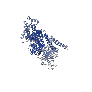0487_6nr2_D_v1-2
Cryo-EM structure of the TRPM8 ion channel in complex with the menthol analog WS-12 and PI(4,5)P2