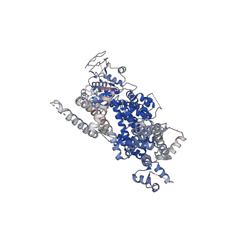 0488_6nr3_A_v1-2
Cryo-EM structure of the TRPM8 ion channel in complex with high occupancy icilin, PI(4,5)P2, and calcium