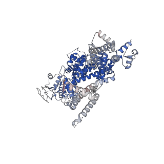 0488_6nr3_B_v1-2
Cryo-EM structure of the TRPM8 ion channel in complex with high occupancy icilin, PI(4,5)P2, and calcium