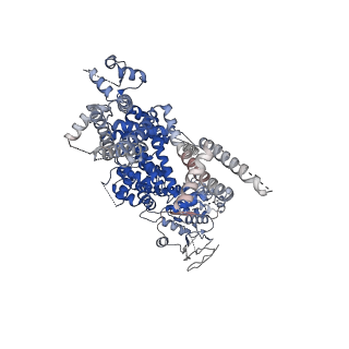 0488_6nr3_C_v1-2
Cryo-EM structure of the TRPM8 ion channel in complex with high occupancy icilin, PI(4,5)P2, and calcium