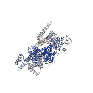 0488_6nr3_D_v1-2
Cryo-EM structure of the TRPM8 ion channel in complex with high occupancy icilin, PI(4,5)P2, and calcium