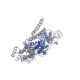 0489_6nr4_A_v1-3
Cryo-EM structure of the TRPM8 ion channel with low occupancy icilin, PI(4,5)P2, and calcium