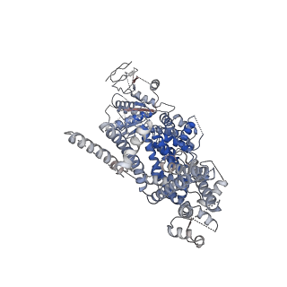 0489_6nr4_B_v1-3
Cryo-EM structure of the TRPM8 ion channel with low occupancy icilin, PI(4,5)P2, and calcium
